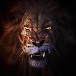 Meet your Posher, Zoltan